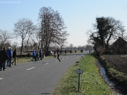 Bosseln