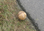 Boßelkugel