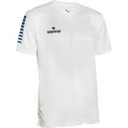 Boßelshirt Derbystar